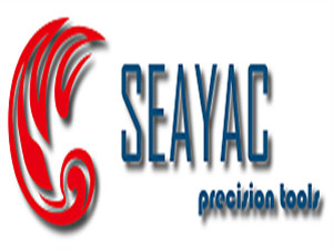 chian-seng-Logo